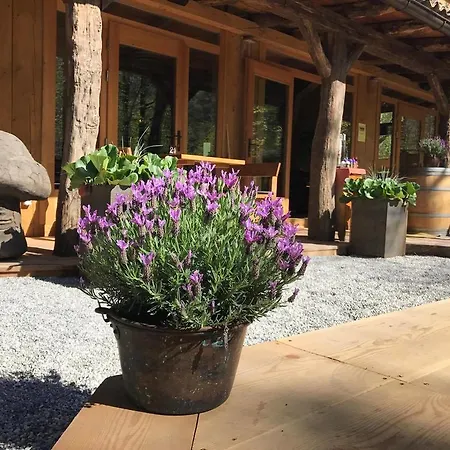 Pocitniska Hisa Lazar Guest house Kobarid