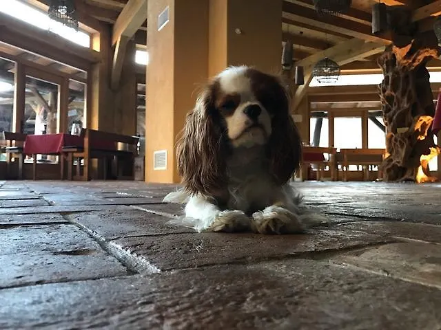 Pocitniska Hisa Lazar Affittacamere Kobarid