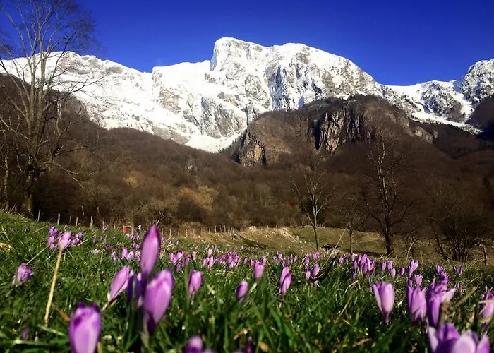 Affittacamere Pocitniska Hisa Lazar 3*