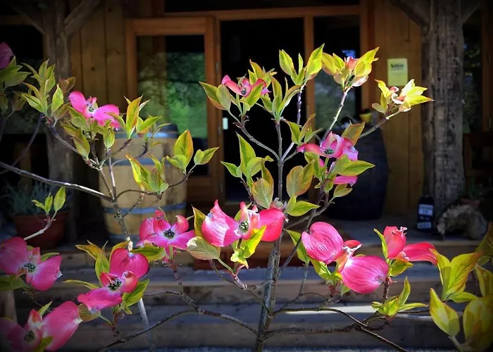 Pocitniska Hisa Lazar 3*